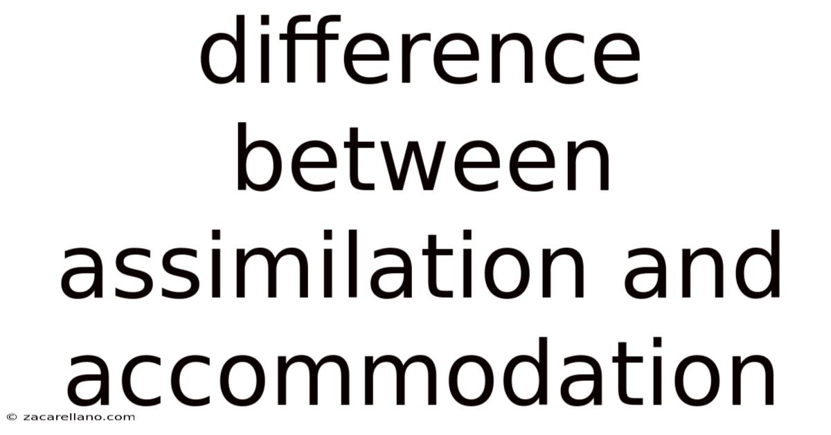 Difference Between Assimilation And Accommodation