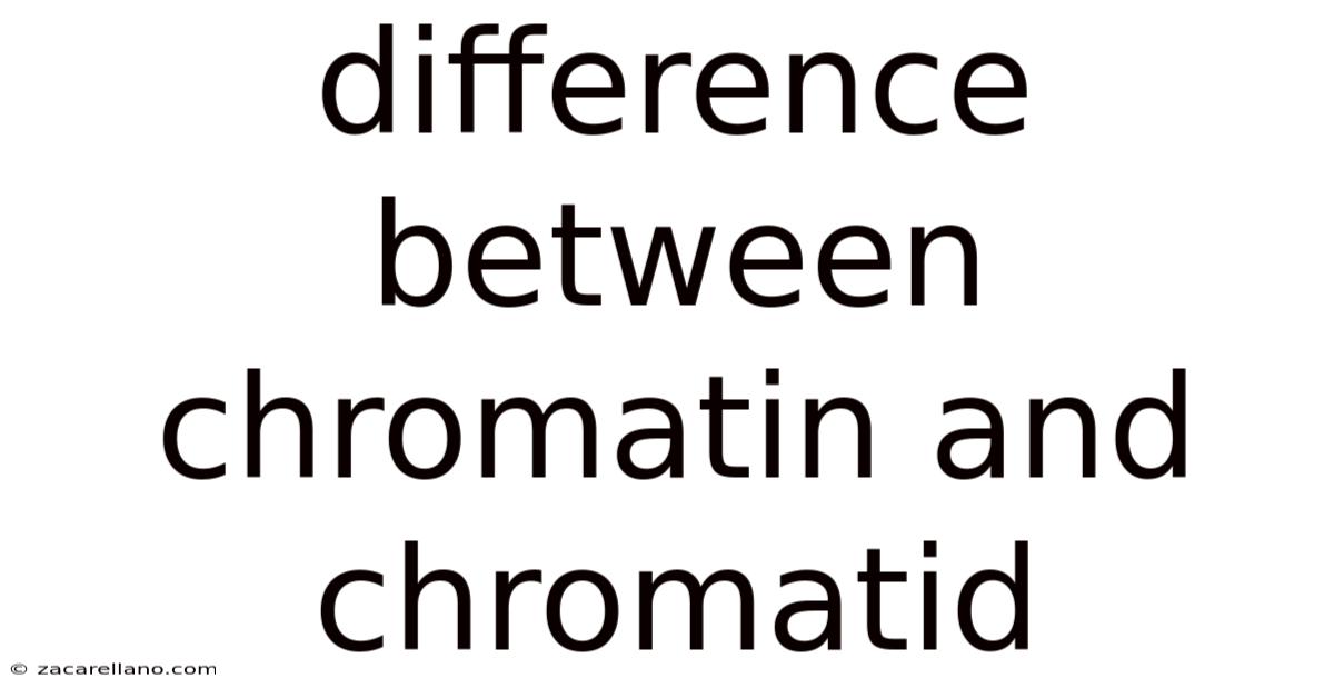Difference Between Chromatin And Chromatid