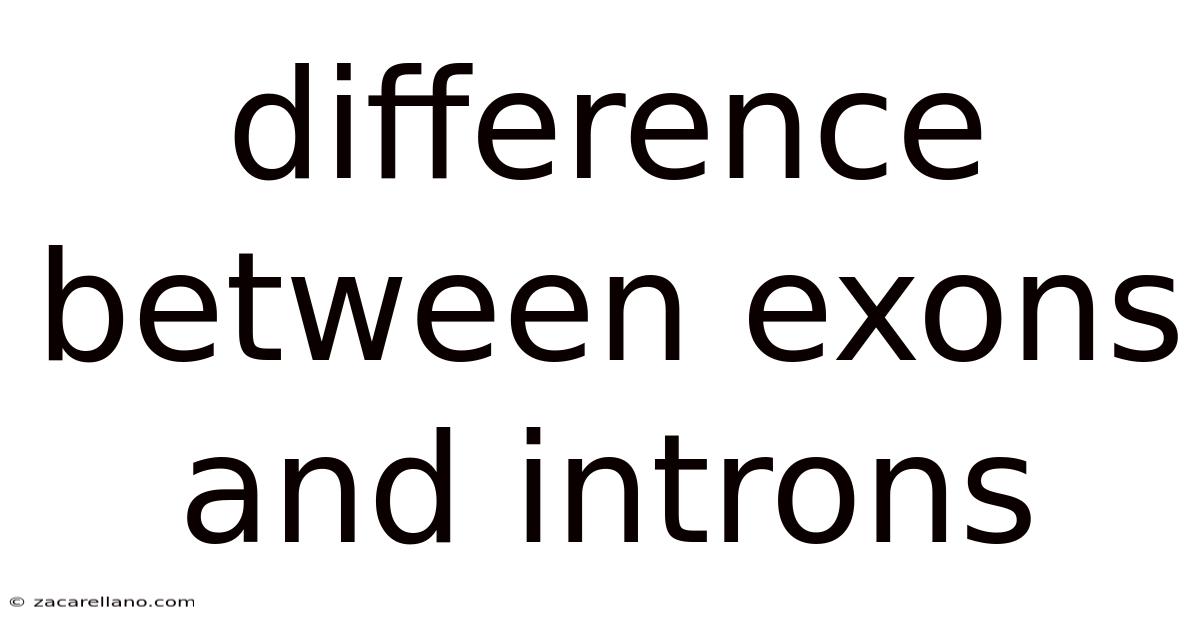 Difference Between Exons And Introns