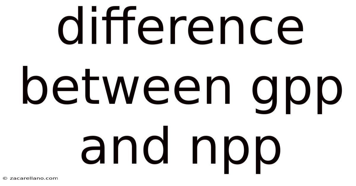 Difference Between Gpp And Npp
