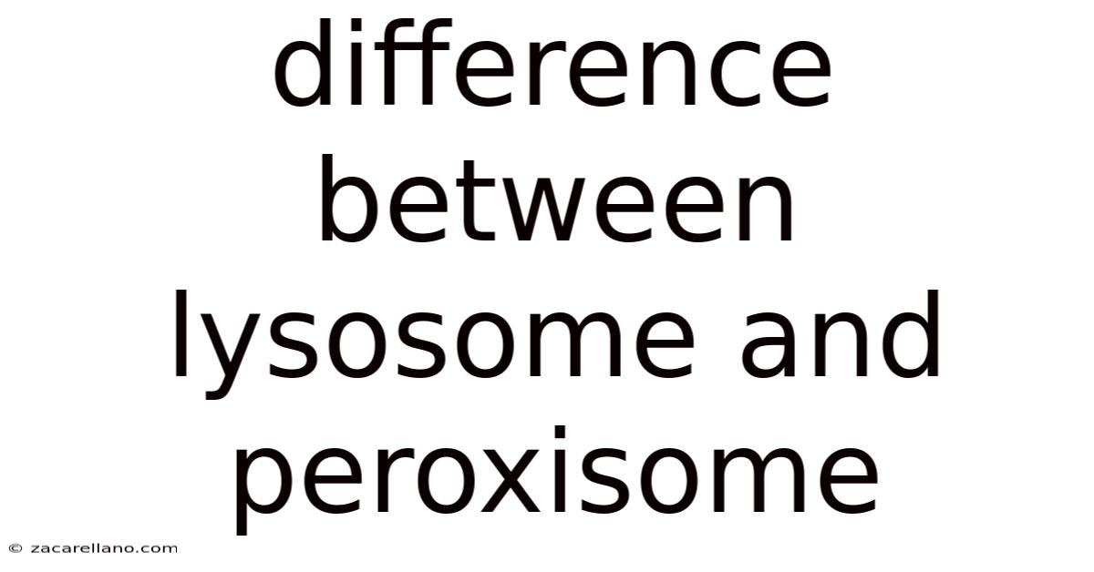 Difference Between Lysosome And Peroxisome