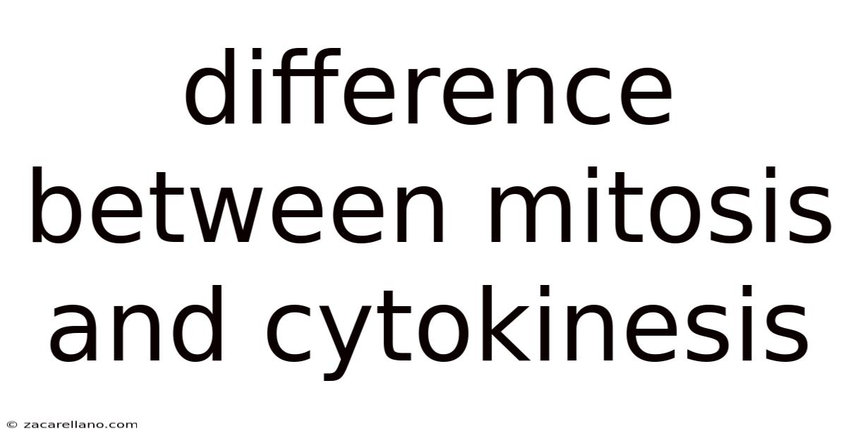 Difference Between Mitosis And Cytokinesis