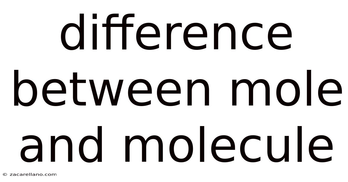 Difference Between Mole And Molecule