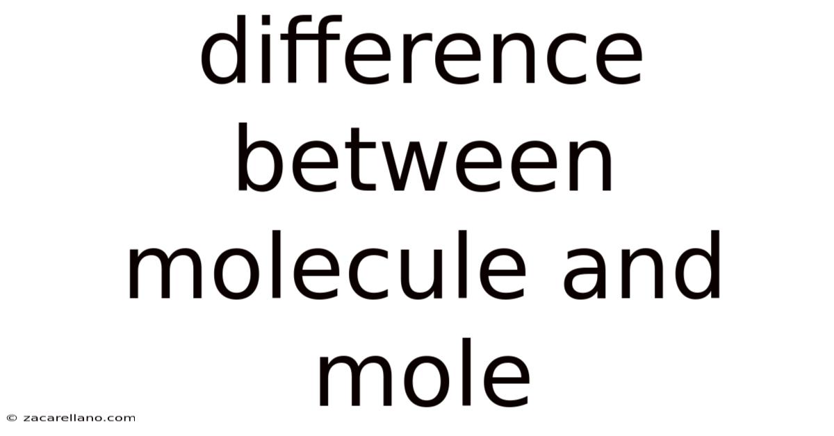 Difference Between Molecule And Mole