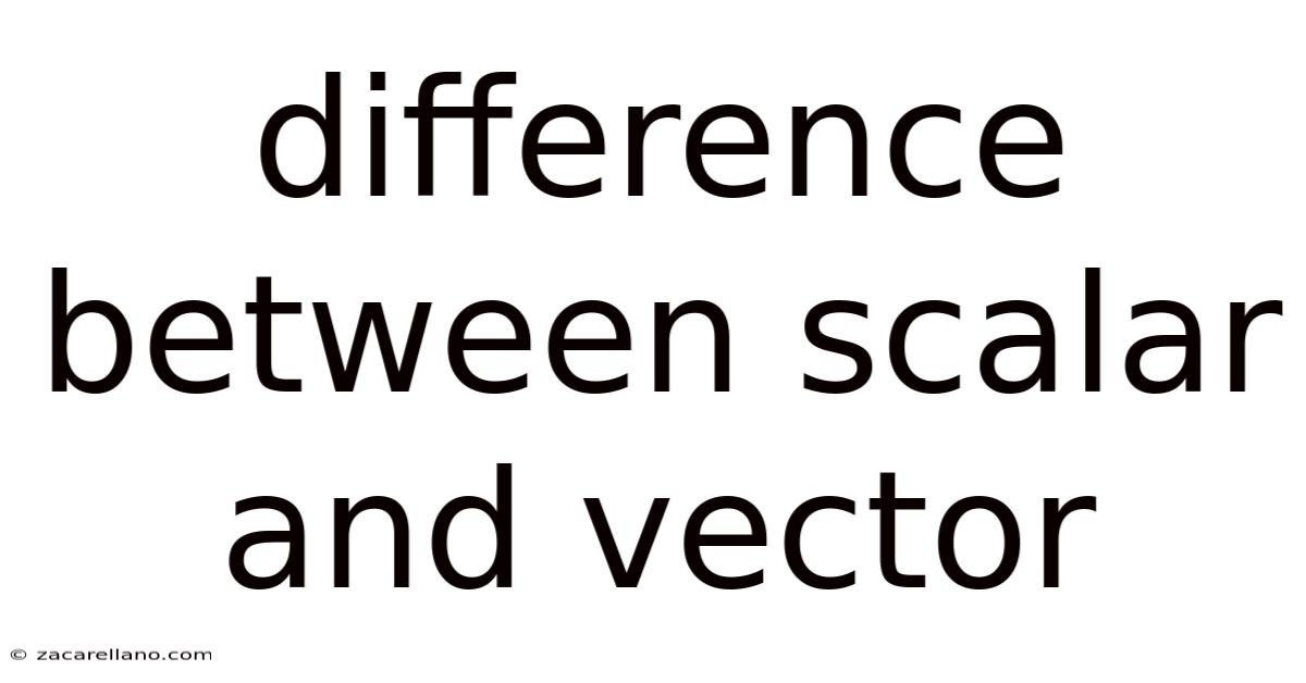 Difference Between Scalar And Vector