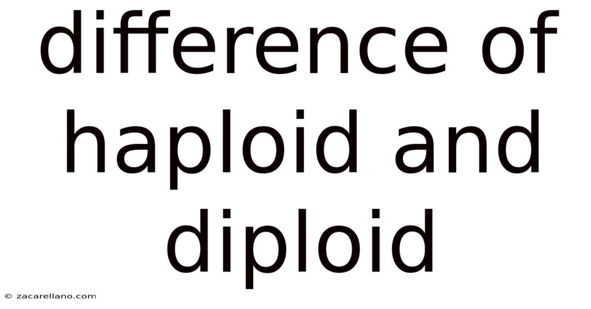 Difference Of Haploid And Diploid