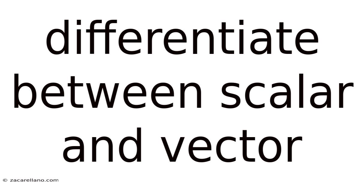 Differentiate Between Scalar And Vector
