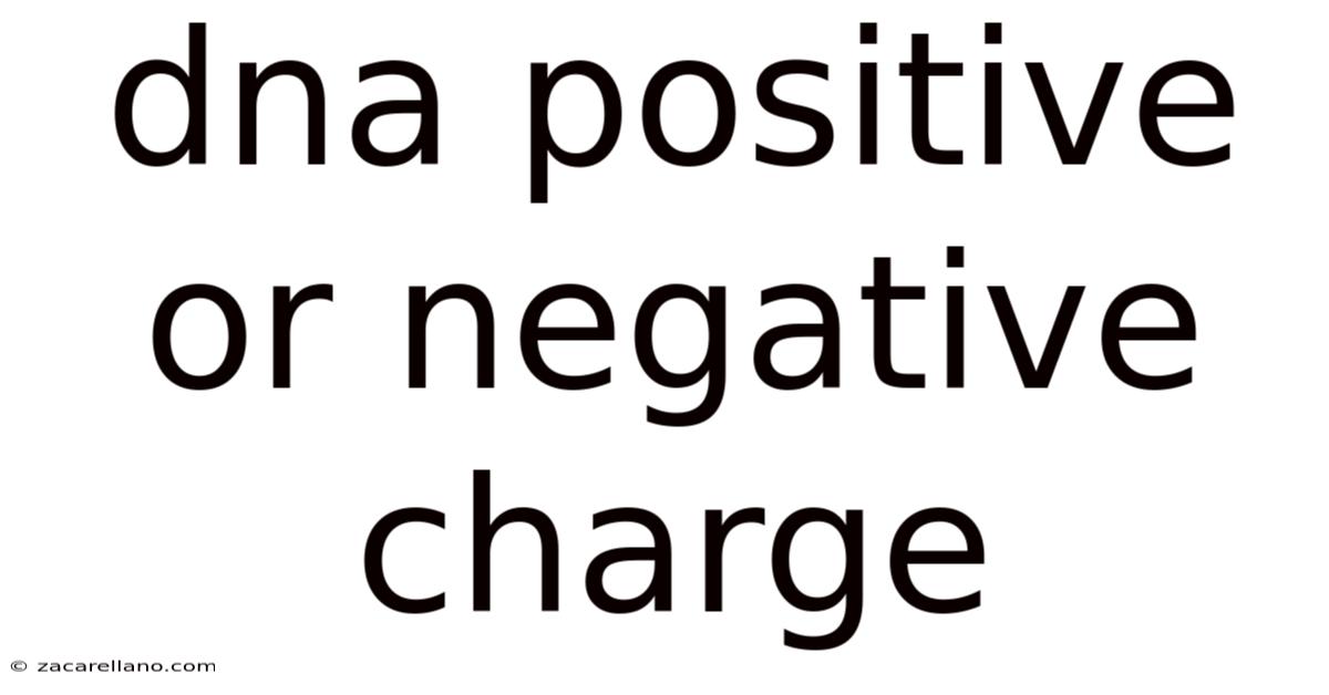 Dna Positive Or Negative Charge