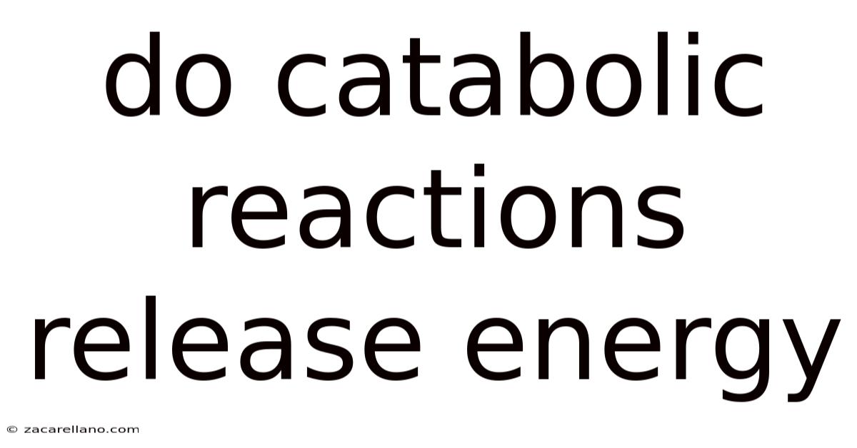 Do Catabolic Reactions Release Energy