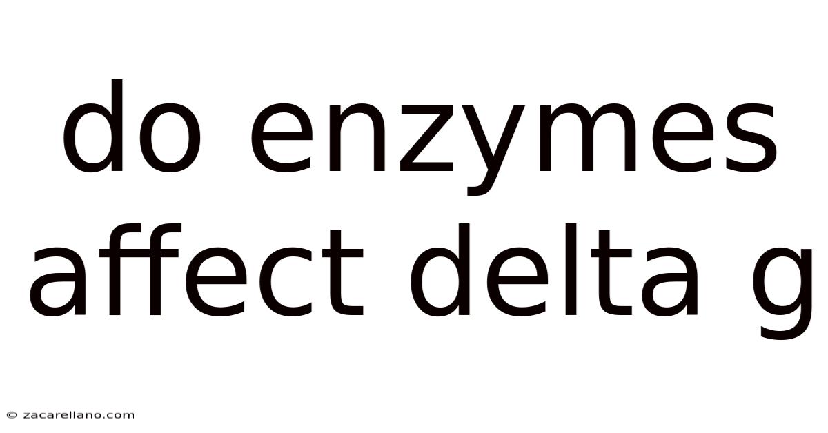 Do Enzymes Affect Delta G