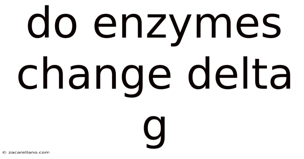 Do Enzymes Change Delta G