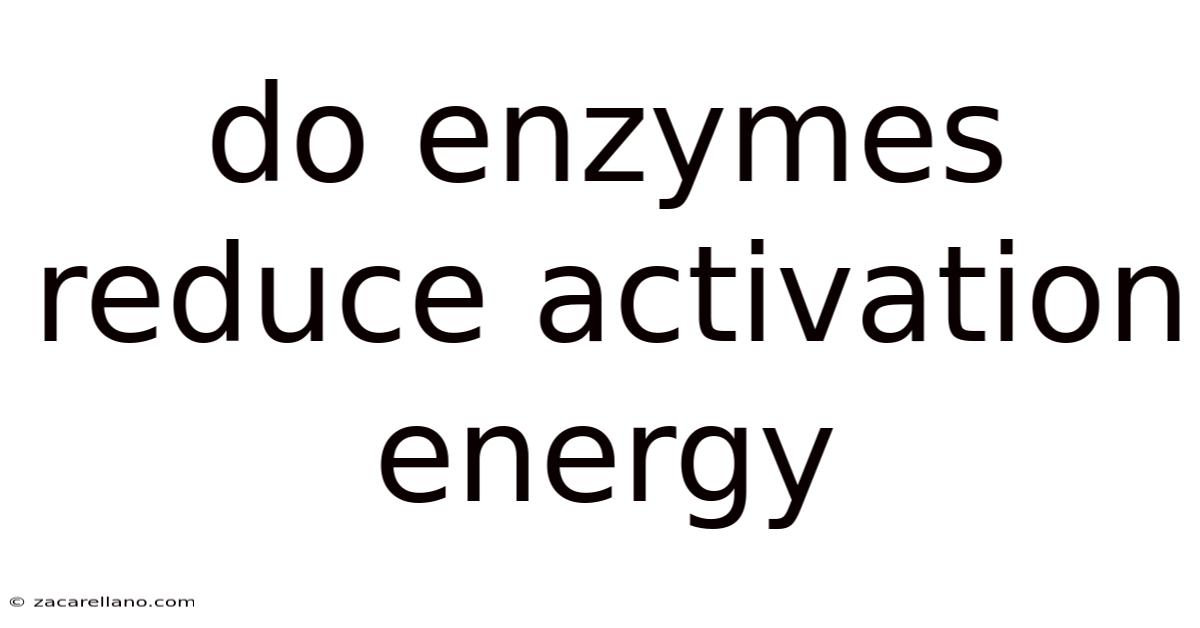 Do Enzymes Reduce Activation Energy