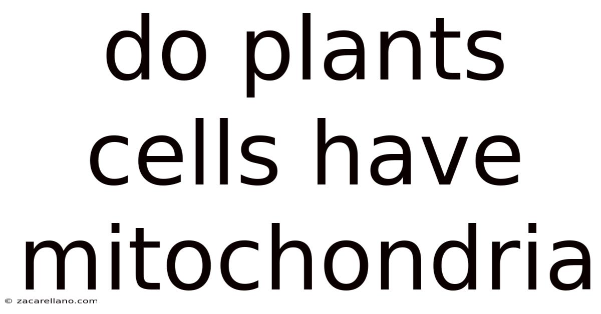 Do Plants Cells Have Mitochondria