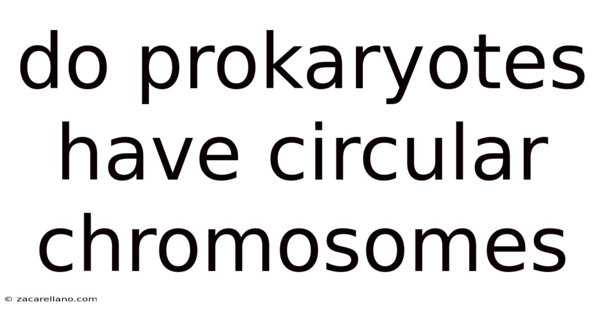 Do Prokaryotes Have Circular Chromosomes