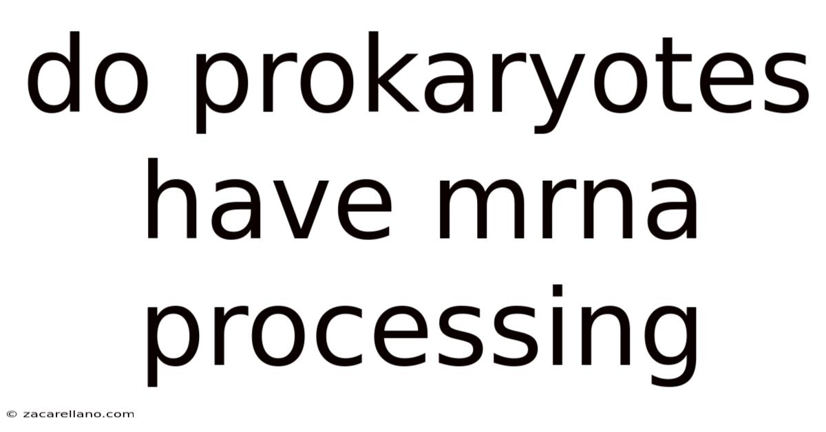Do Prokaryotes Have Mrna Processing