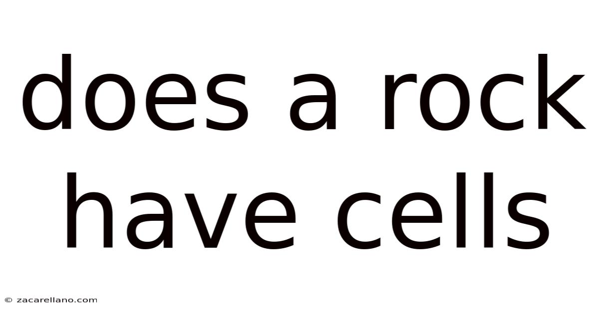 Does A Rock Have Cells