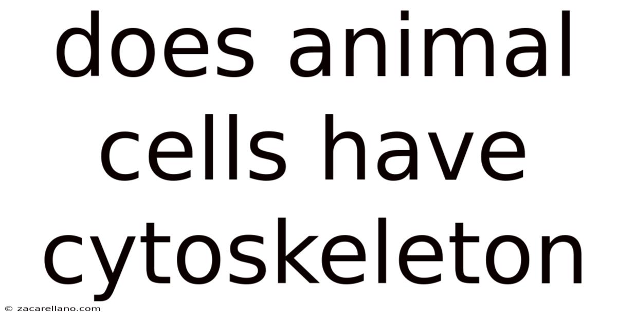Does Animal Cells Have Cytoskeleton