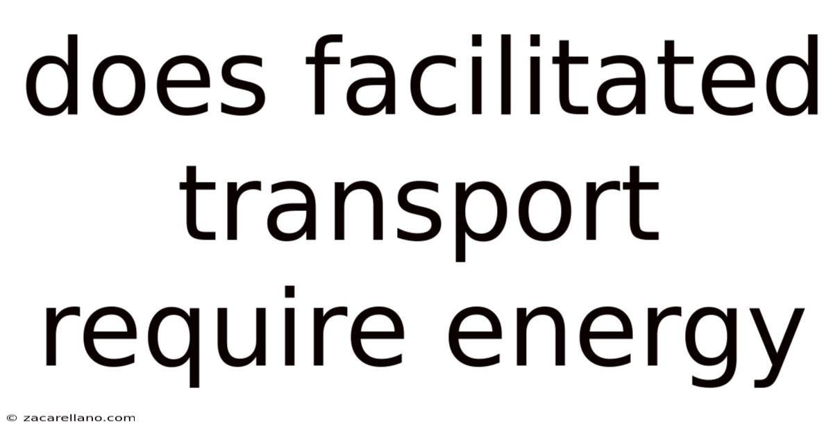 Does Facilitated Transport Require Energy
