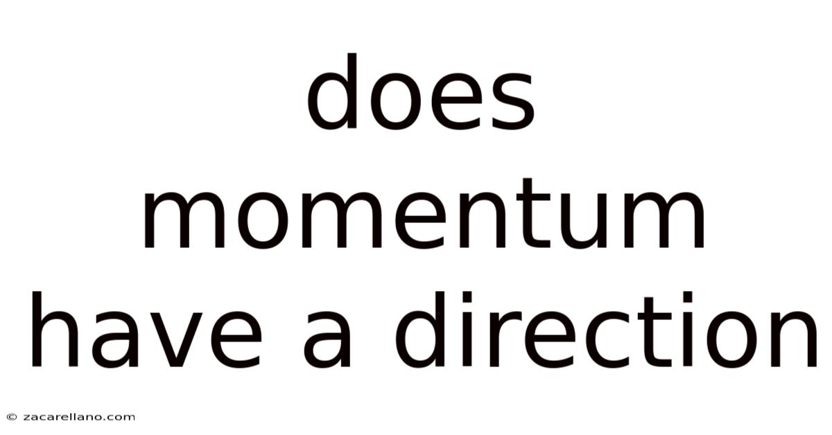 Does Momentum Have A Direction