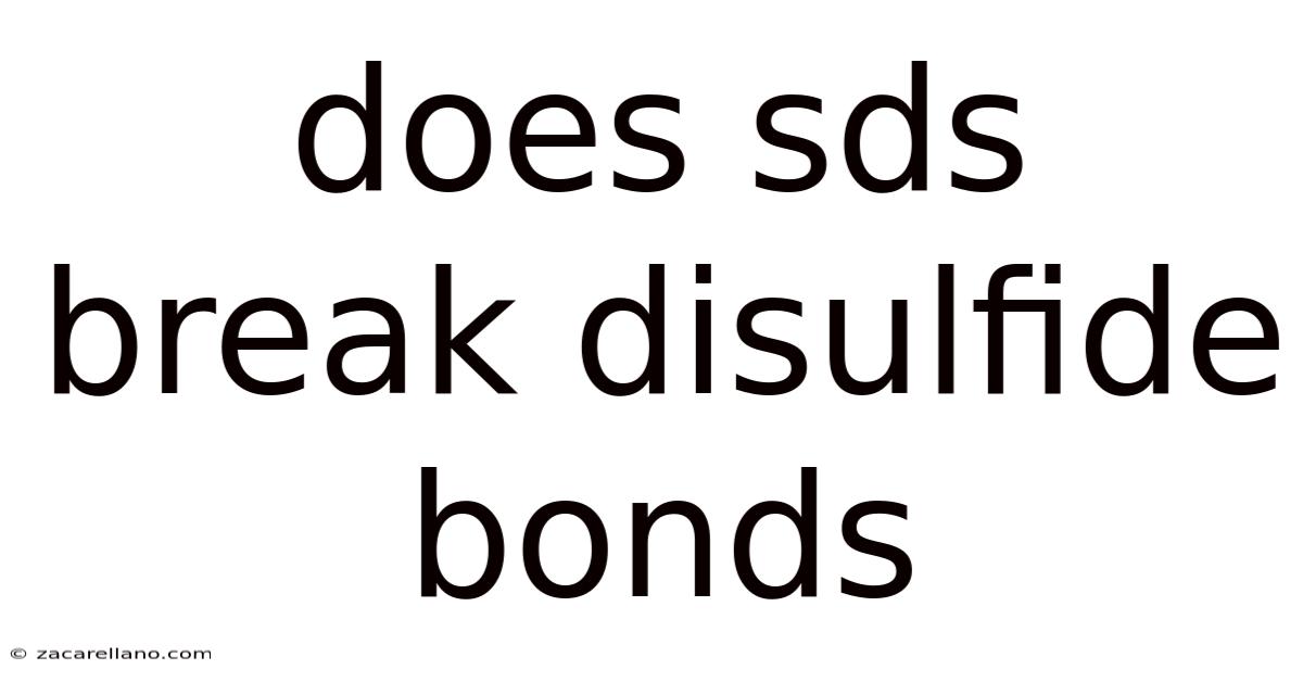 Does Sds Break Disulfide Bonds