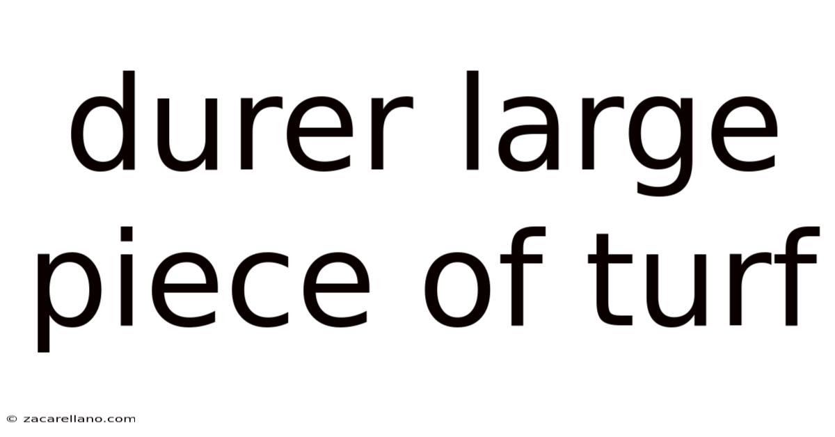 Durer Large Piece Of Turf