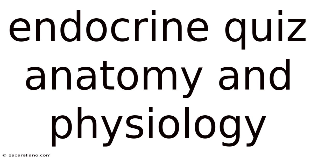 Endocrine Quiz Anatomy And Physiology