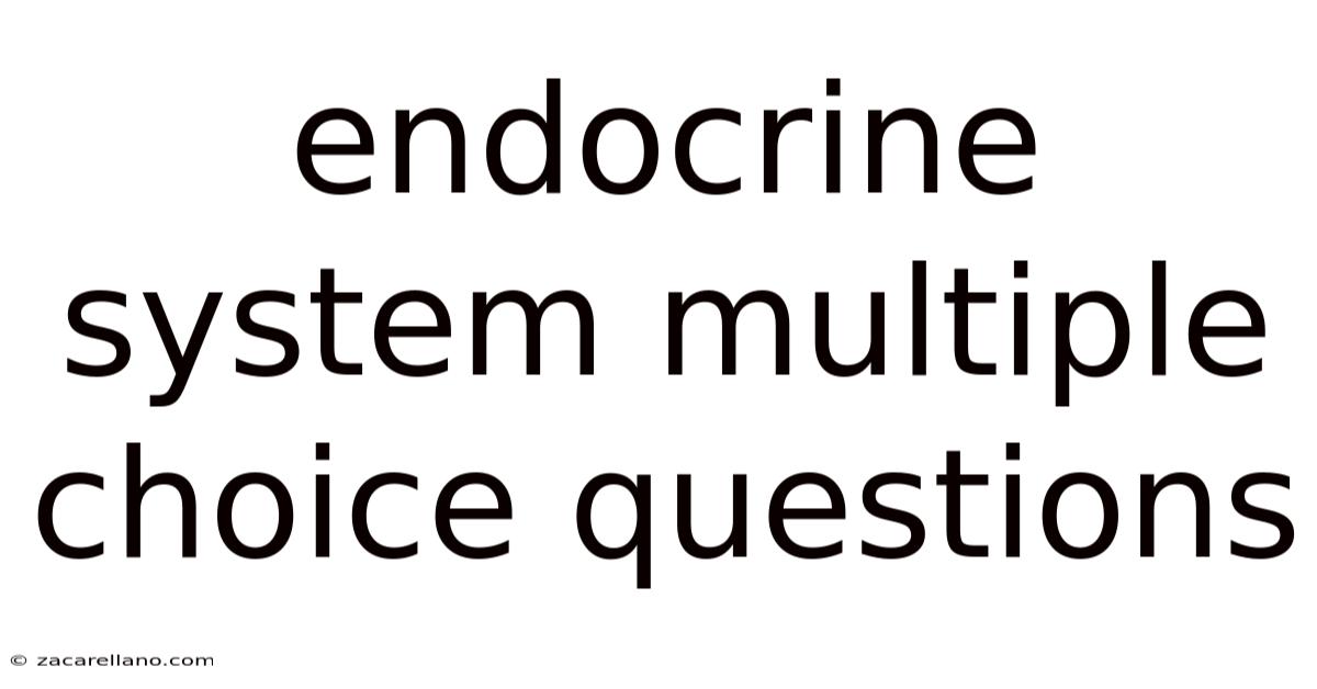 Endocrine System Multiple Choice Questions