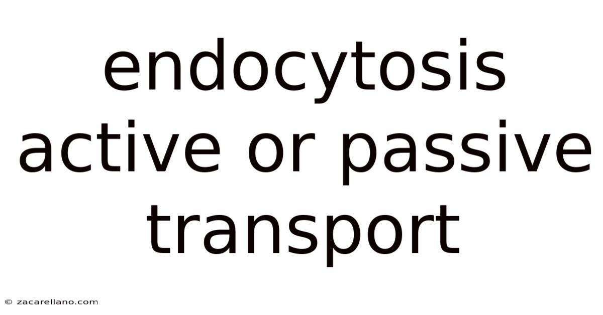 Endocytosis Active Or Passive Transport