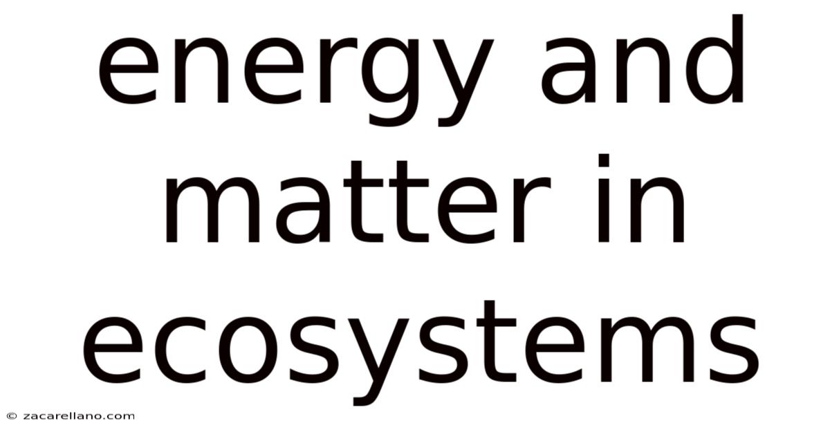 Energy And Matter In Ecosystems