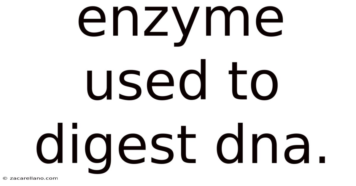 Enzyme Used To Digest Dna.