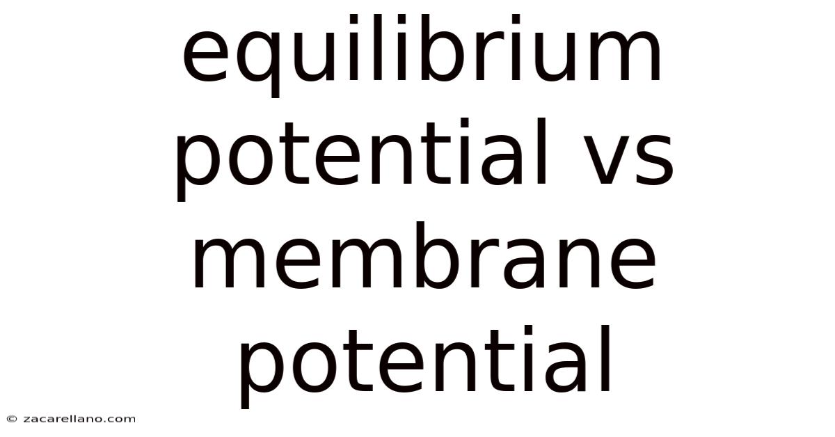 Equilibrium Potential Vs Membrane Potential