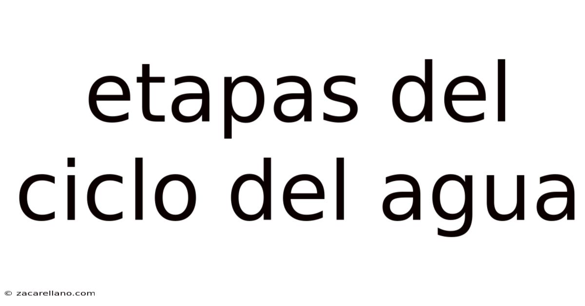 Etapas Del Ciclo Del Agua