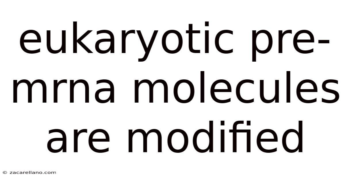 Eukaryotic Pre-mrna Molecules Are Modified