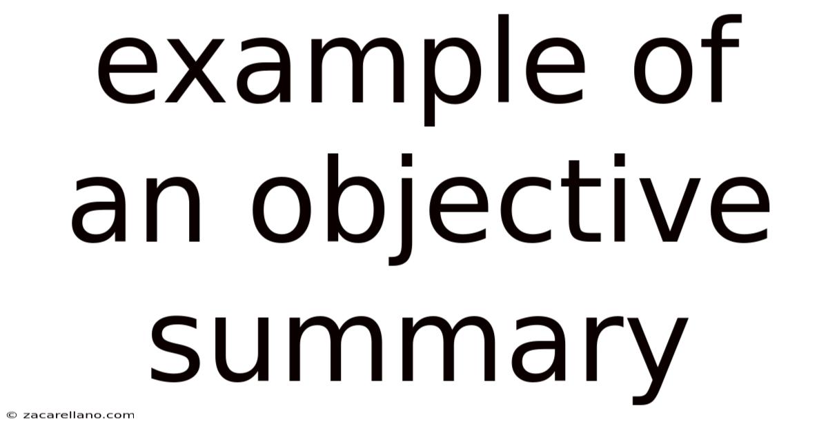 Example Of An Objective Summary
