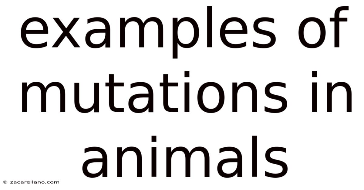 Examples Of Mutations In Animals