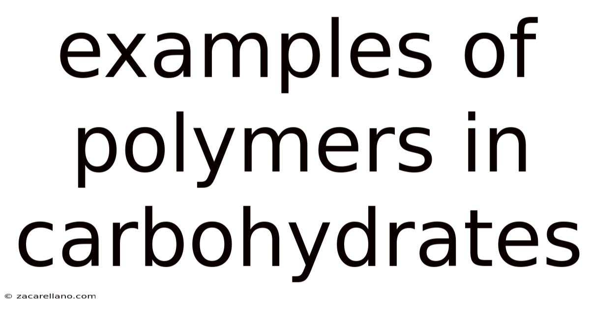 Examples Of Polymers In Carbohydrates