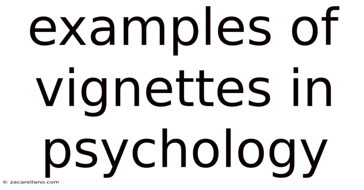 Examples Of Vignettes In Psychology