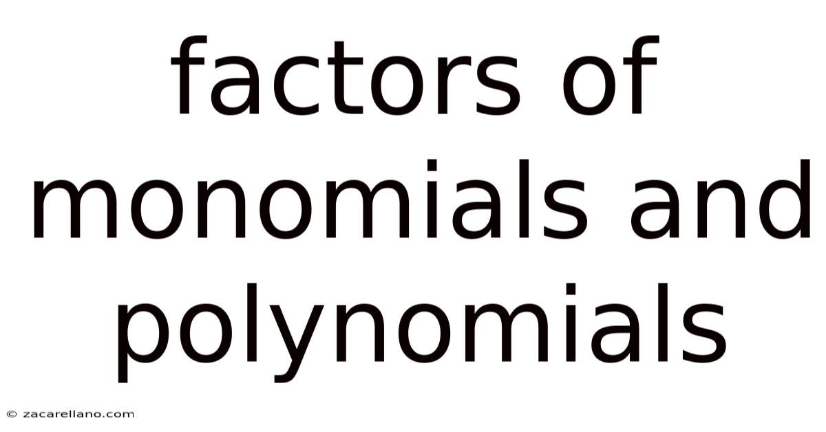 Factors Of Monomials And Polynomials