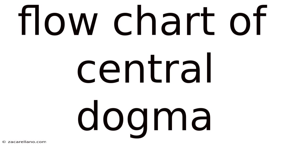 Flow Chart Of Central Dogma