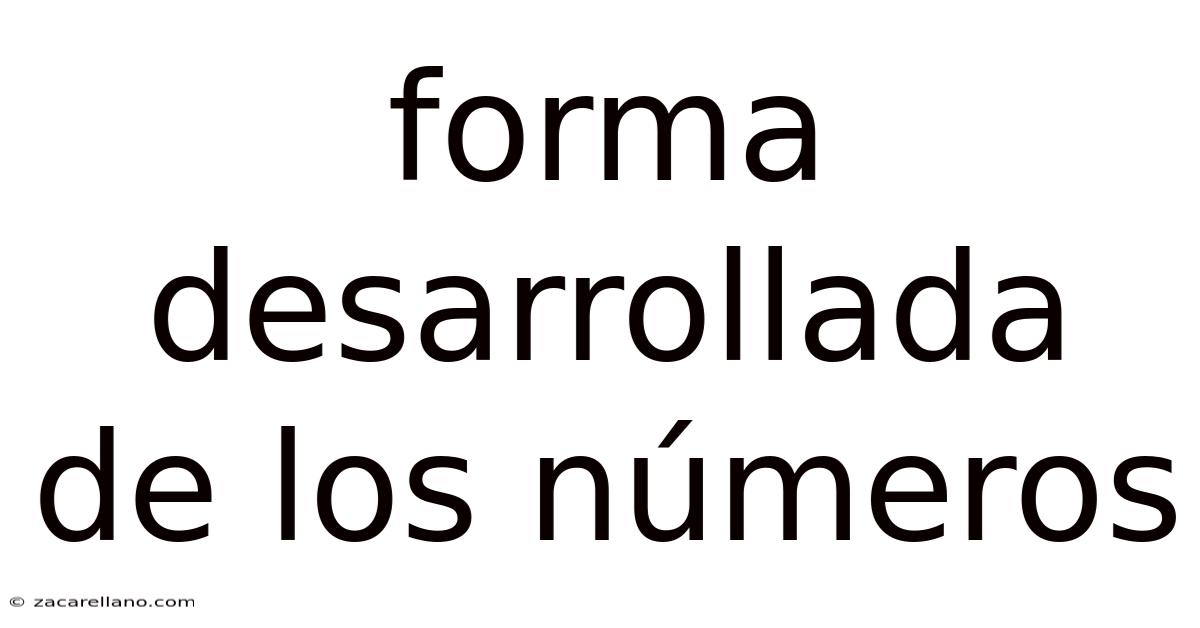 Forma Desarrollada De Los Números