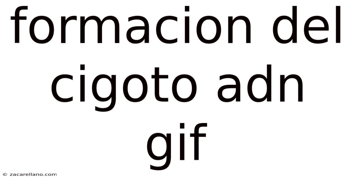 Formacion Del Cigoto Adn Gif