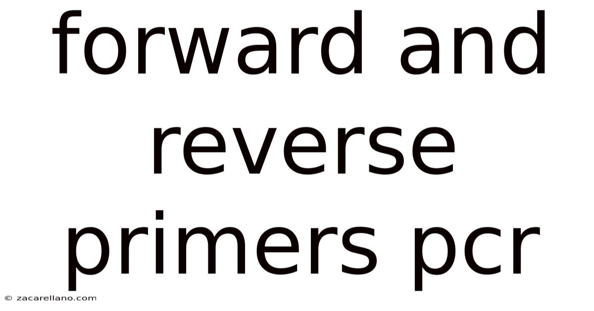 Forward And Reverse Primers Pcr