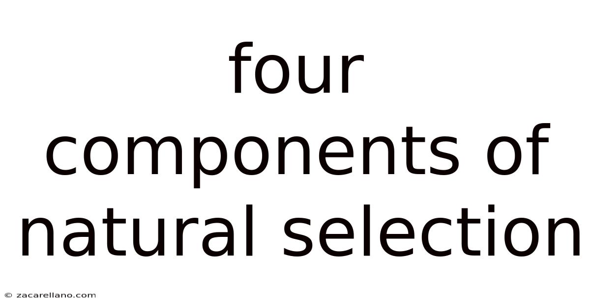 Four Components Of Natural Selection