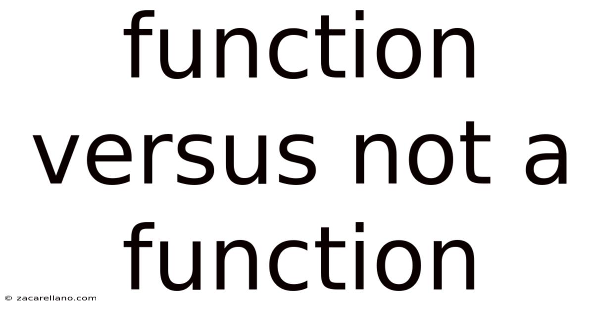 Function Versus Not A Function