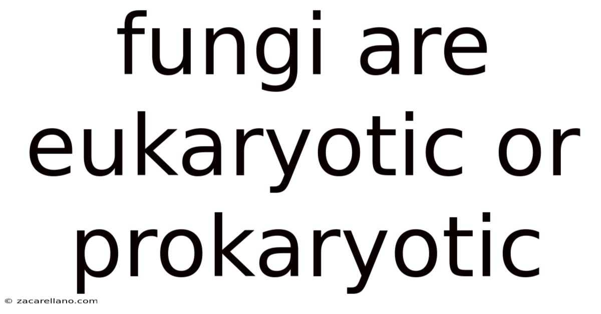 Fungi Are Eukaryotic Or Prokaryotic
