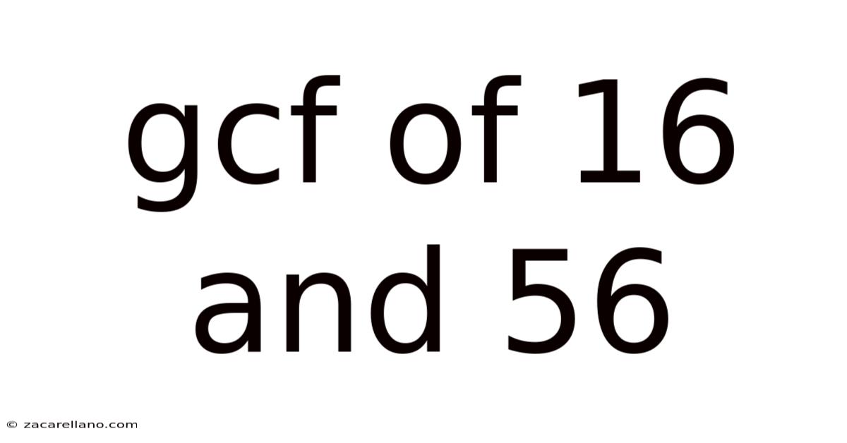 Gcf Of 16 And 56