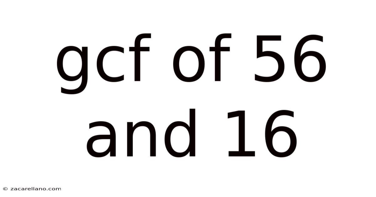 Gcf Of 56 And 16