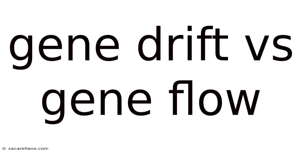 Gene Drift Vs Gene Flow