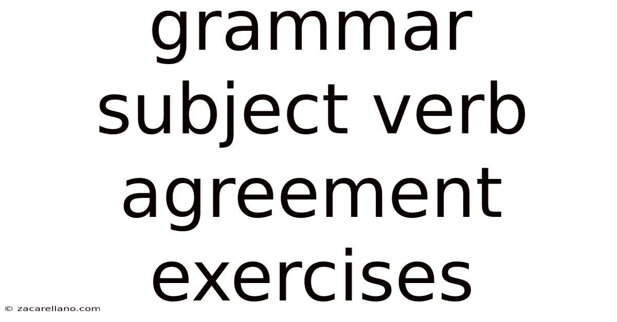 Grammar Subject Verb Agreement Exercises
