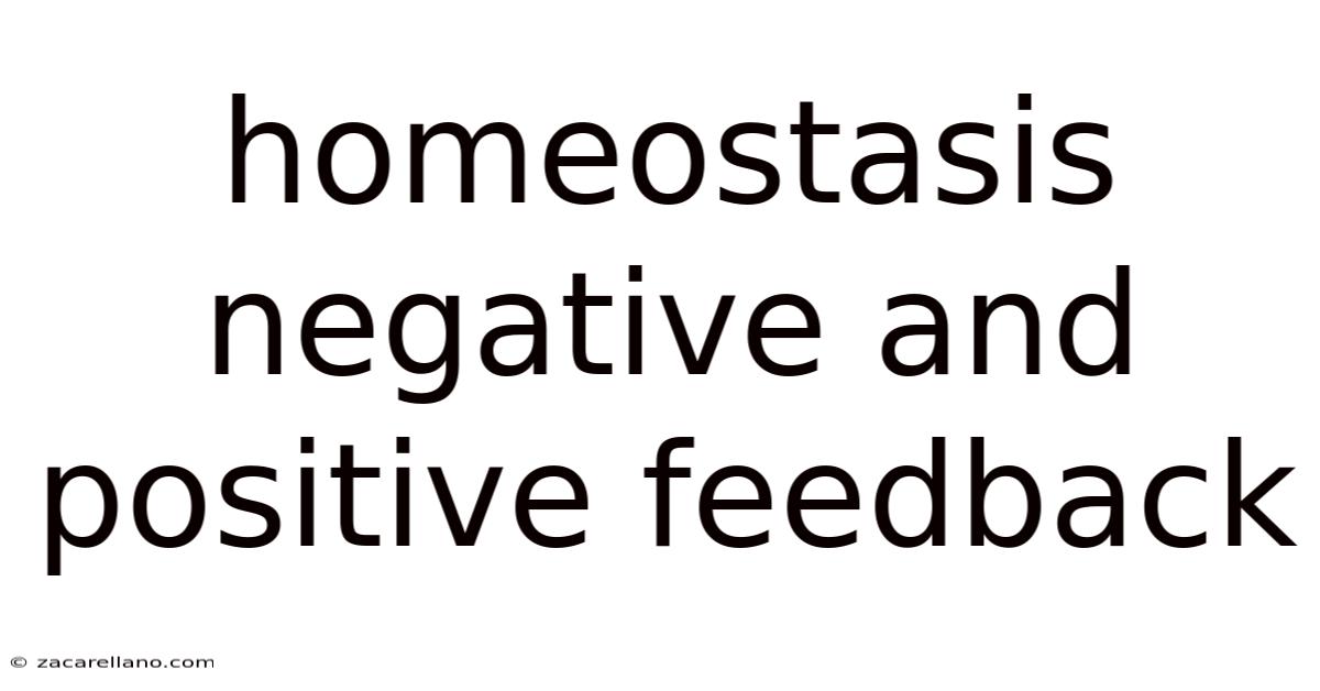Homeostasis Negative And Positive Feedback